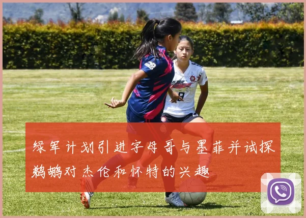绿军计划引进字母哥与墨菲并试探鹈鹕对杰伦和怀特的兴趣