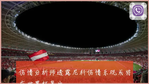 伤情分析师透露尼科伤情乐观或将在世界杯复出