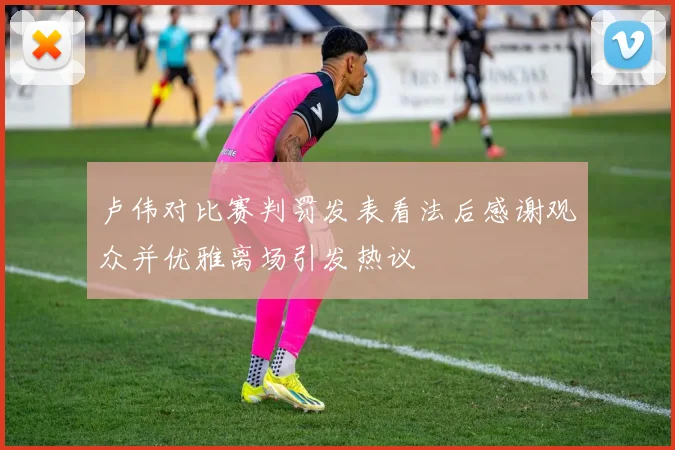 卢伟对比赛判罚发表看法后感谢观众并优雅离场引发热议